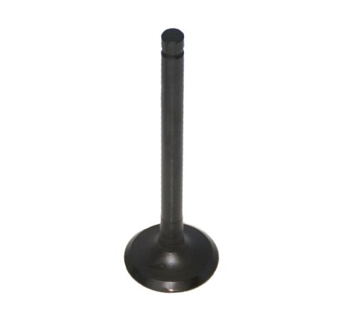 ENGINE EXHAUST VALVE