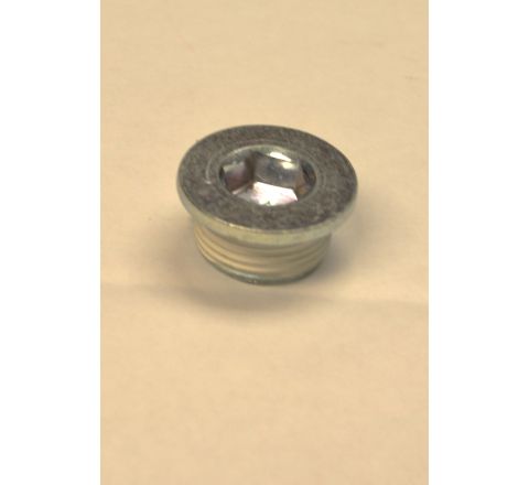 Engine Cylinder Head Plug (Genuine)