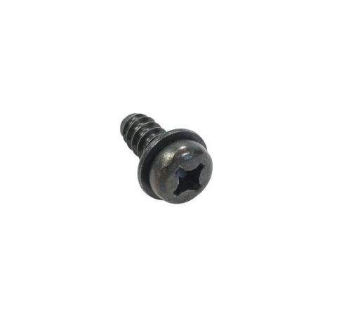 DOOR GLASS SCREW