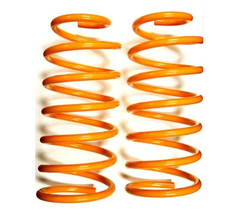 PAIR OF REAR COIL SPRING