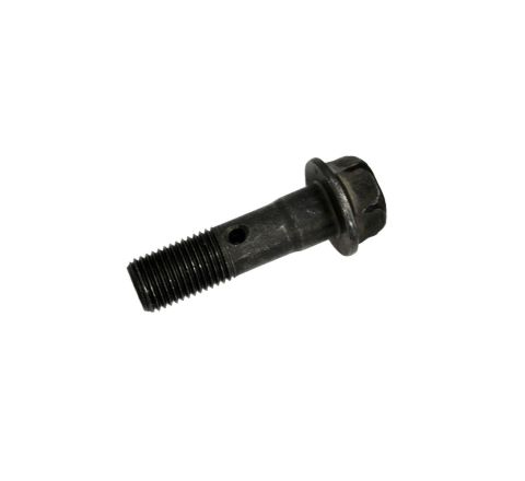 TIMING CHAIN TRAIN/CAMSHAFT BOLT (GENUINE)