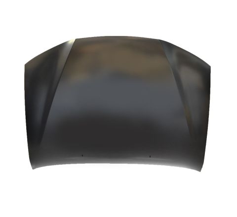 BONNET / HOOD ASSEMBLY (WITHOUT TURBO HOLE)
