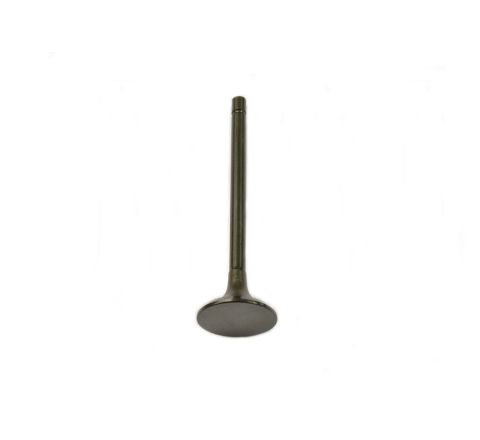 ENGINE INLET VALVE