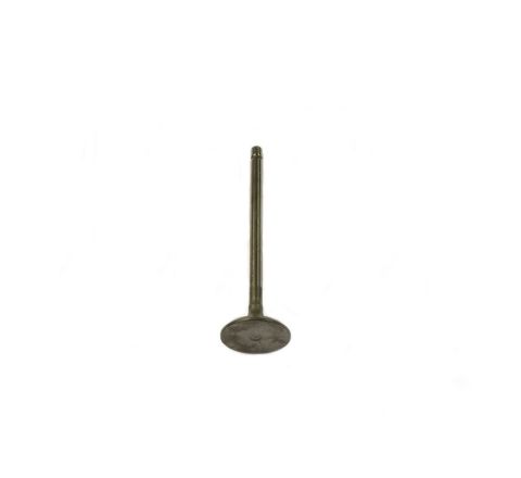 ENGINE INLET VALVE