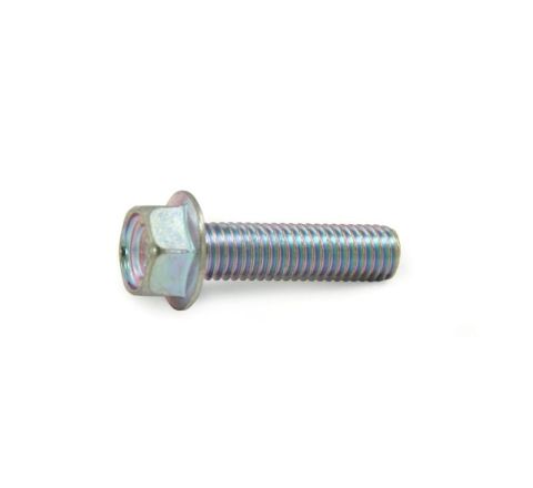CRANKSHAFT CASE / OIL PUMP BOLT (M8 X 30 FLANGE) (GENUINE)