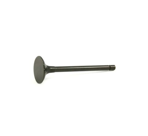 INLET VALVE (GENUINE)