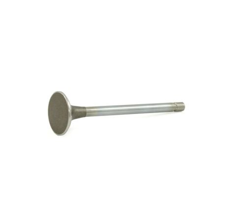 EXHAUST VALVE (GENUINE)