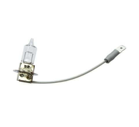 FRONT FOG LAMP BULB (GENUINE)