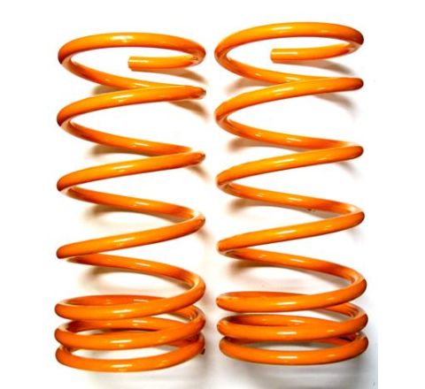 PAIR OF REAR COIL SPRING