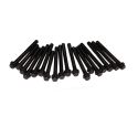 ENGINE CYLINDER HEAD BOLT SET (STRETCH)
