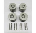 ENGINE PISTON & PIN SET