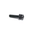 MIRROR SCREW