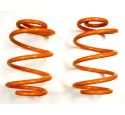 PAIR OF REAR COIL SPRING