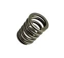 EXHAUST PIPE SPRING (GENUINE)