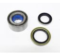 REAR AXLE WHEEL BEARING KIT (1 SIDE)