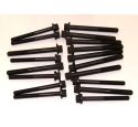 ENGINE CYLINDER HEAD BOLT SET