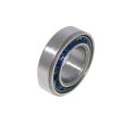 REAR WHEEL BEARING