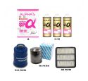 ENGINE FILTER KIT + 7L FULLY SYNTHETIC OIL 5W40