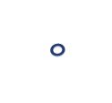 OIL PAN / SUMP BUNG WASHER (GENUINE)