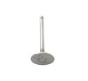 ENGINE INLET VALVE