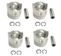 ENGINE PISTON & PIN SET (STD)