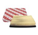AIR FILTER (GENUINE)