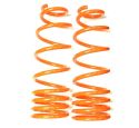 PAIR OF REAR COIL SPRING
