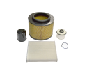 ENGINE FILTER KIT (OIL, AIR, FUEL, POLLEN)