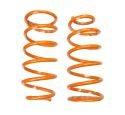 PAIR OF REAR COIL SPRINGS STD