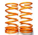 PAIR OF REAR COIL SPRING